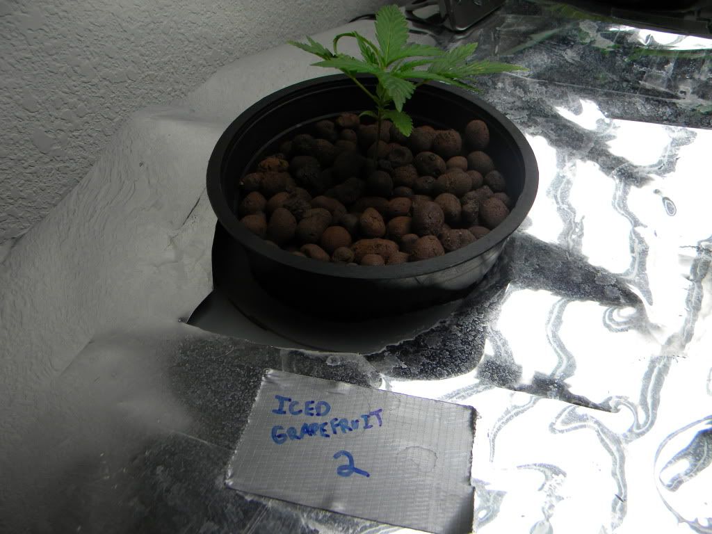 DSCN0902.jpg