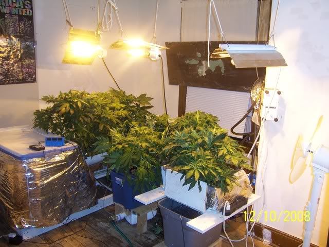 000_3923.jpg