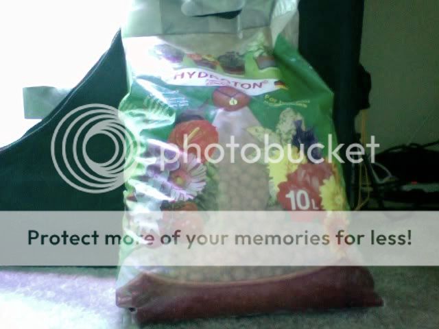 Photo9.jpg