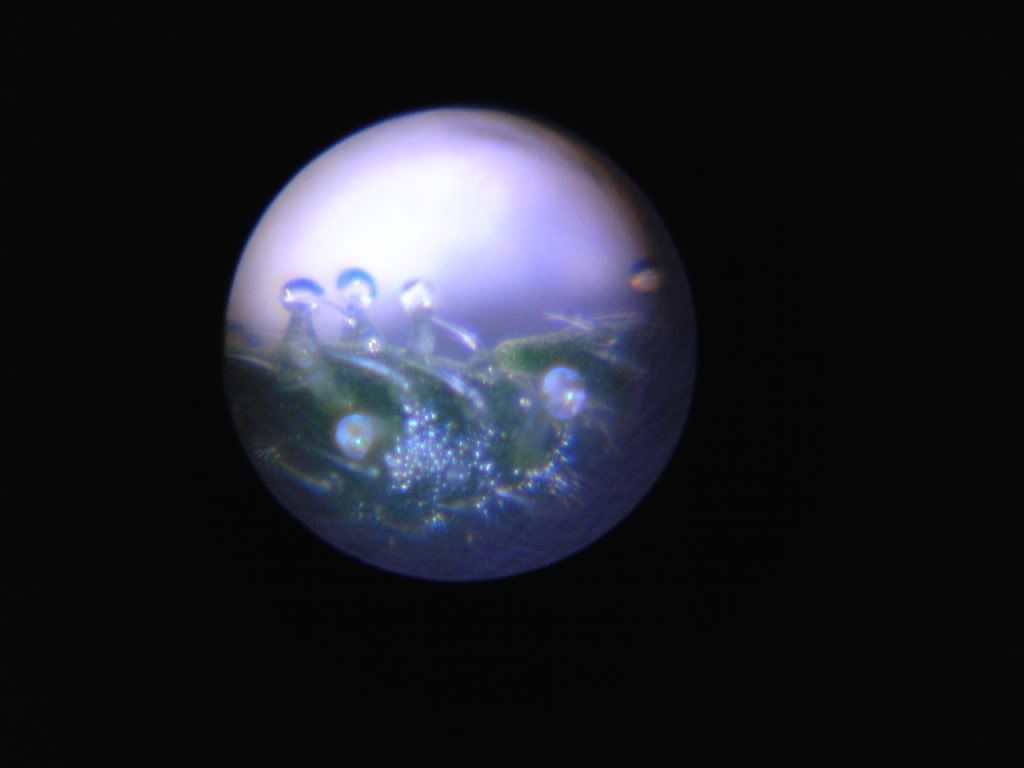 IMG00044.jpg