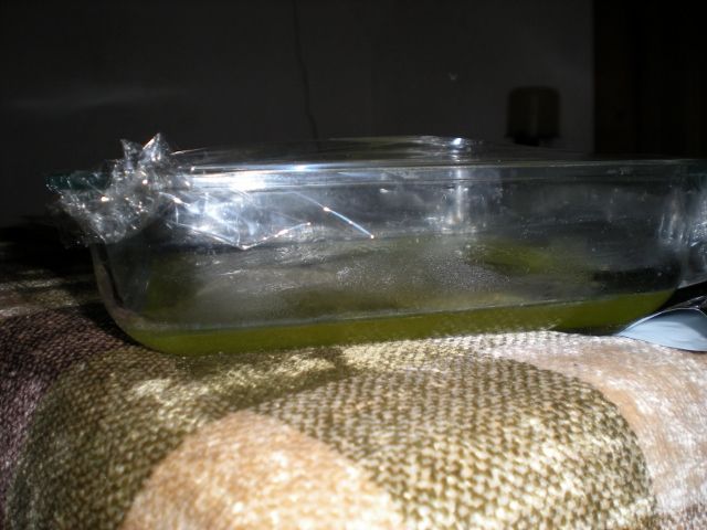 DSCN3631640x480.jpg