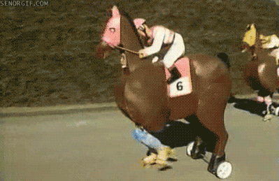 giphy.gif
