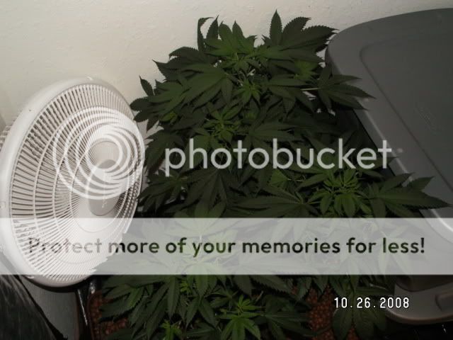 PICT0172.jpg