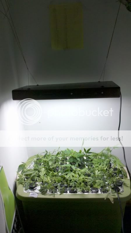 2011-01-06_00-01-02_816.jpg