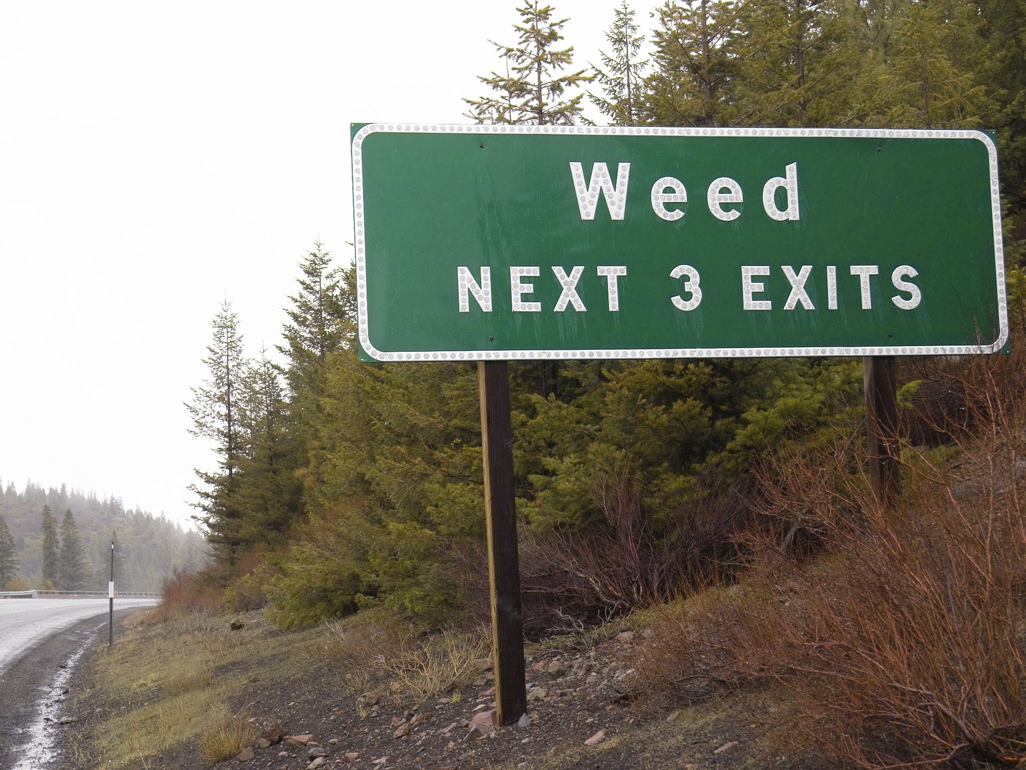 weed-road-sign.jpg