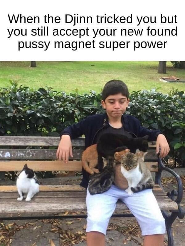 W6mTrBr.jpg