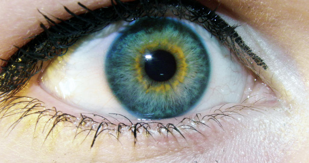 central_heterochromia__by_xpeanutbutterx-d60cpie.jpg