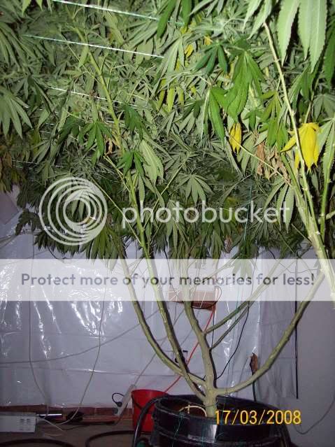 Plants101.jpg