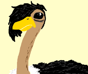 n4hBXW9ySb-6.png