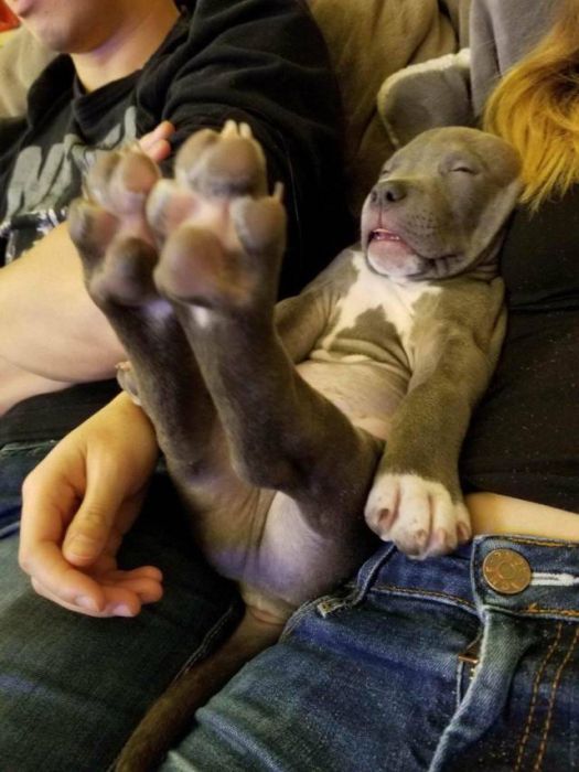acid_picdump_42.jpg