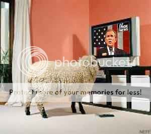 pY24sxQJuAVms02sNLq1xGCHyVBz-4.jpg
