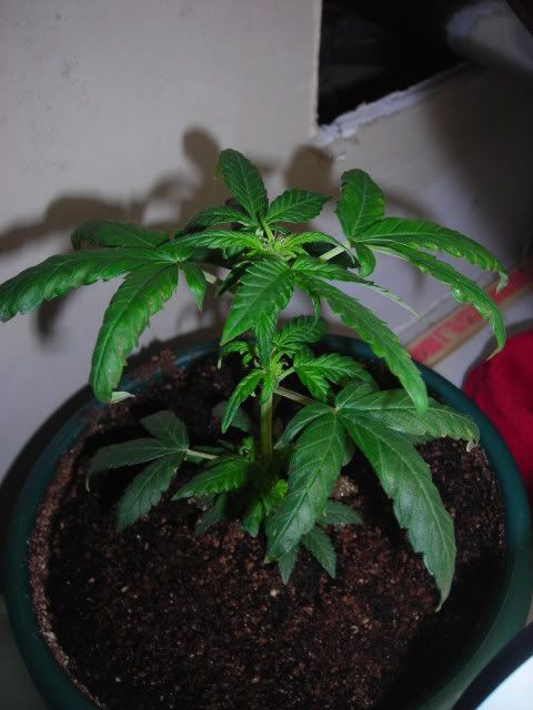 DSCN2195.jpg