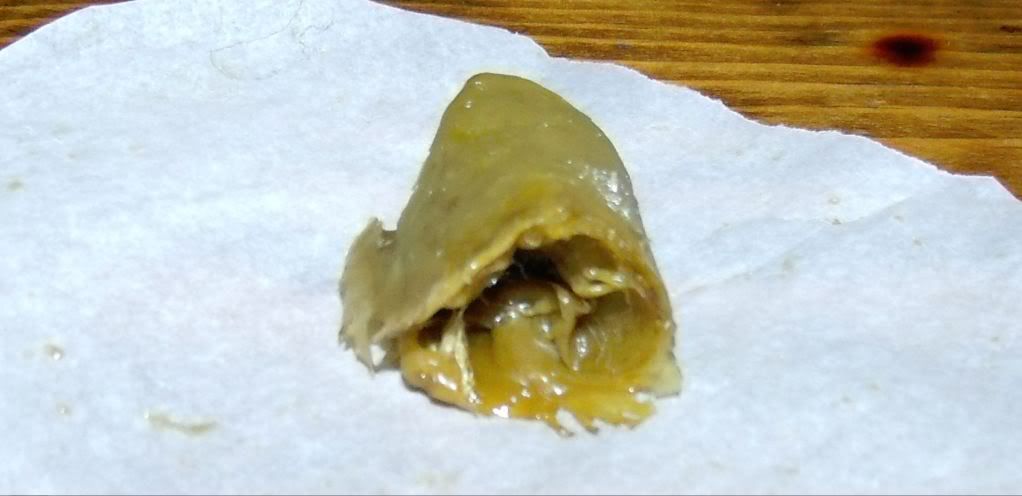 Closeup2.jpg