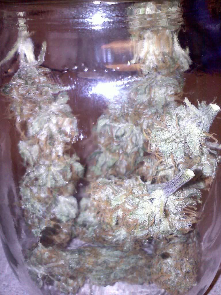 20101004224203.jpg