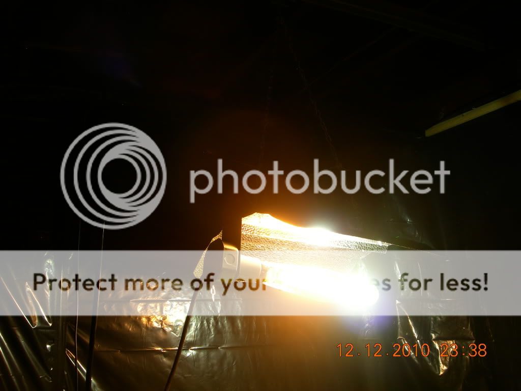 DSCN6965.jpg