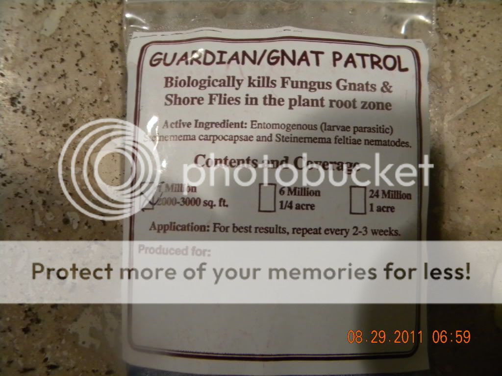 DSCN2682.jpg