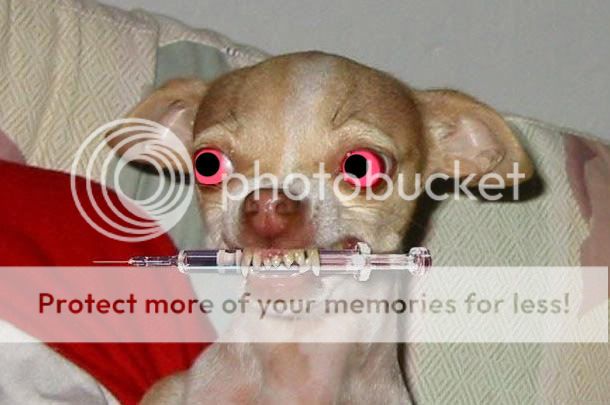 JUNKIEDog-1.jpg