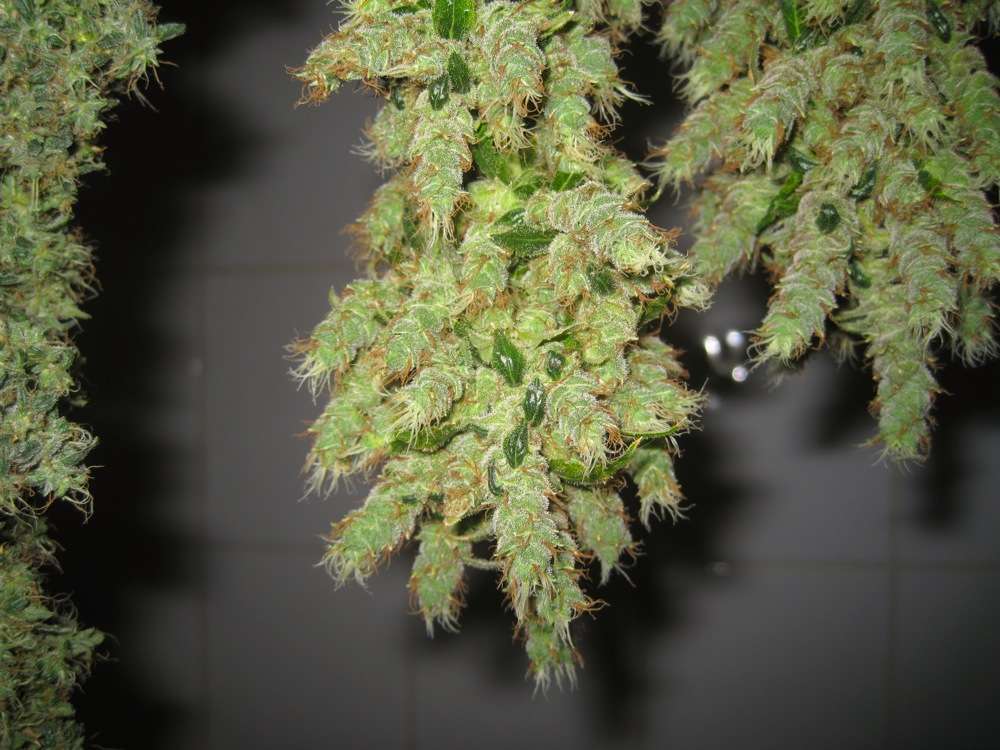 img3402a.jpg