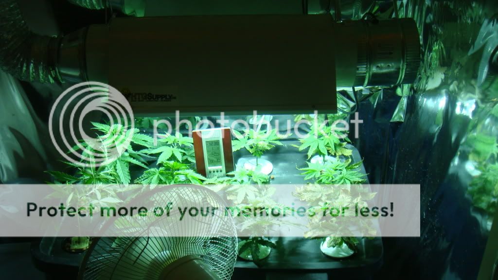 DSC04692.jpg