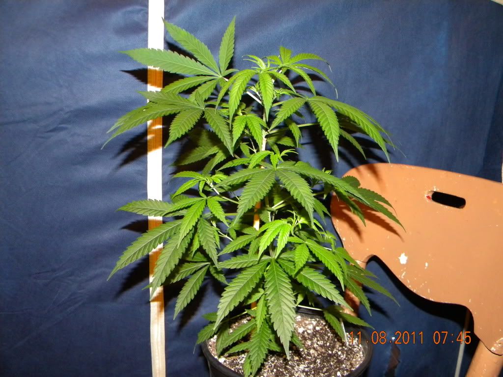 DSCN3014.jpg