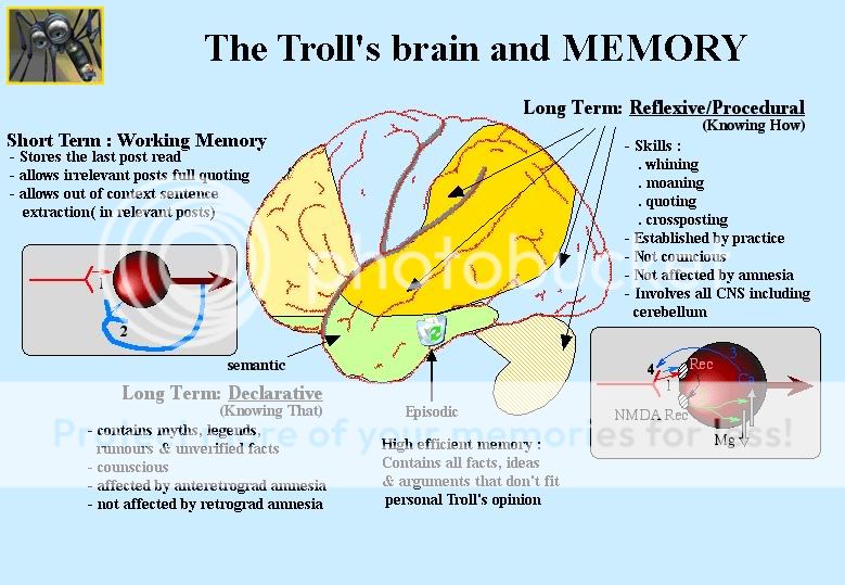 TheTrollsBrain.jpg