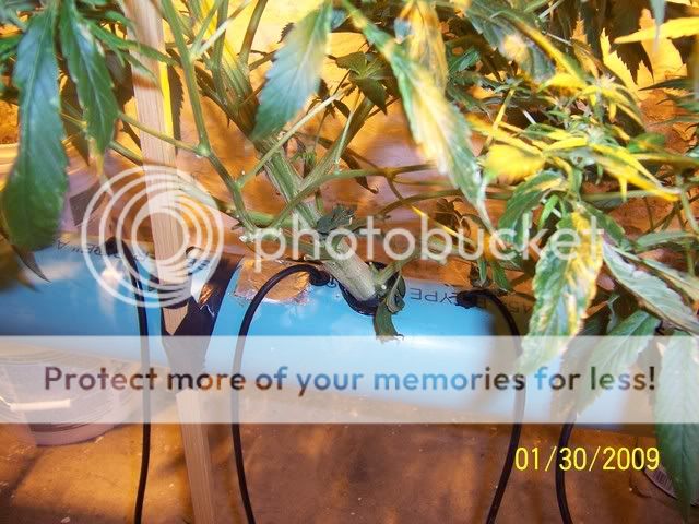 100_1229.jpg