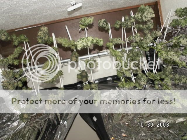 PICT0302.jpg