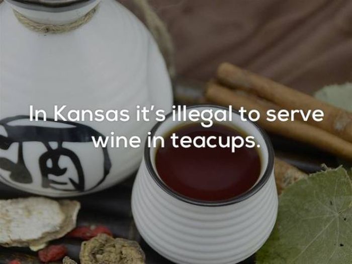hilarious_laws_19.jpg