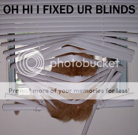 blindsxp0.jpg