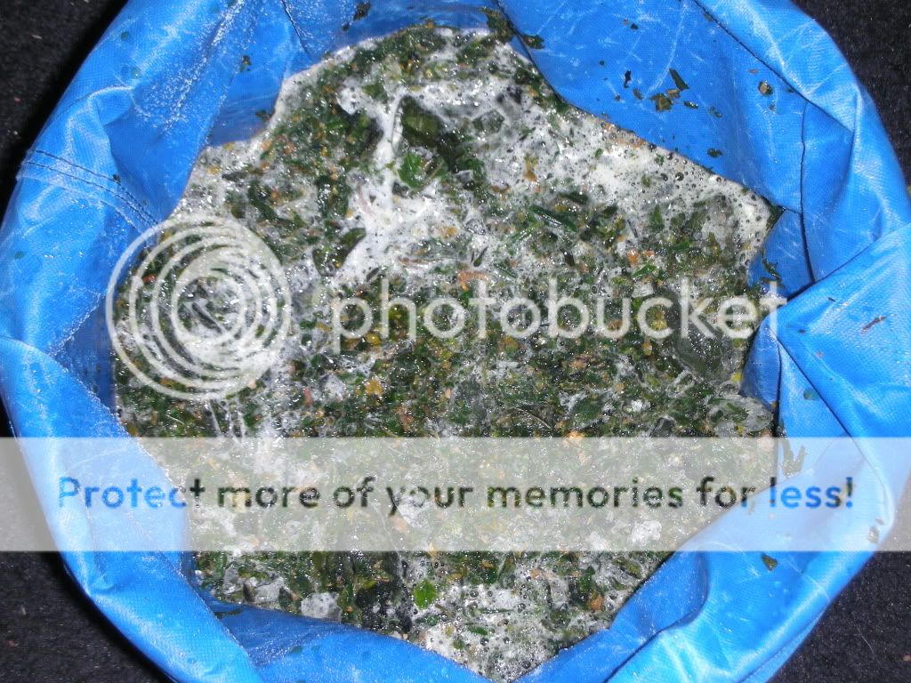 DSCN4312.jpg