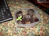 th_130_0913.jpg