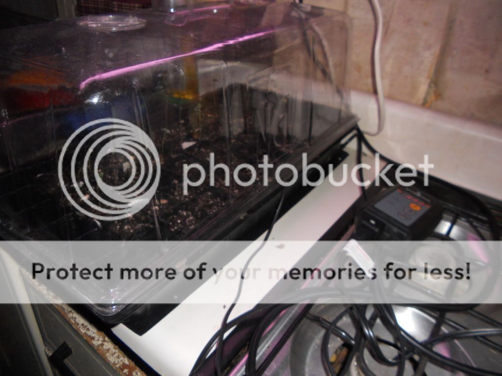 DSCN5235.jpg