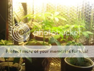 420002.jpg