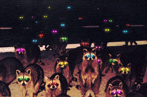 tumblr_lh1p307rfM1qf0w6ro1_500.gif