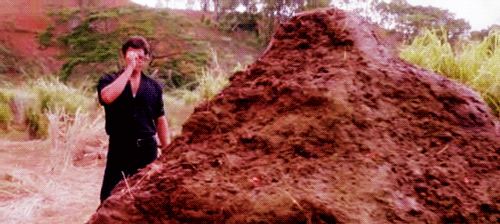 tumblr_lhq31dVvCb1qh89oso1_500.gif