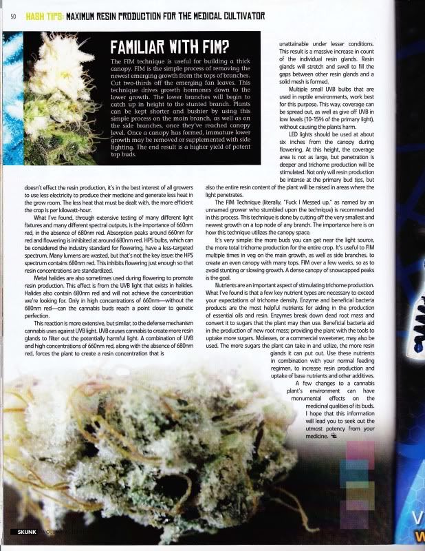 538207769-hash_tips_Page_3.jpg