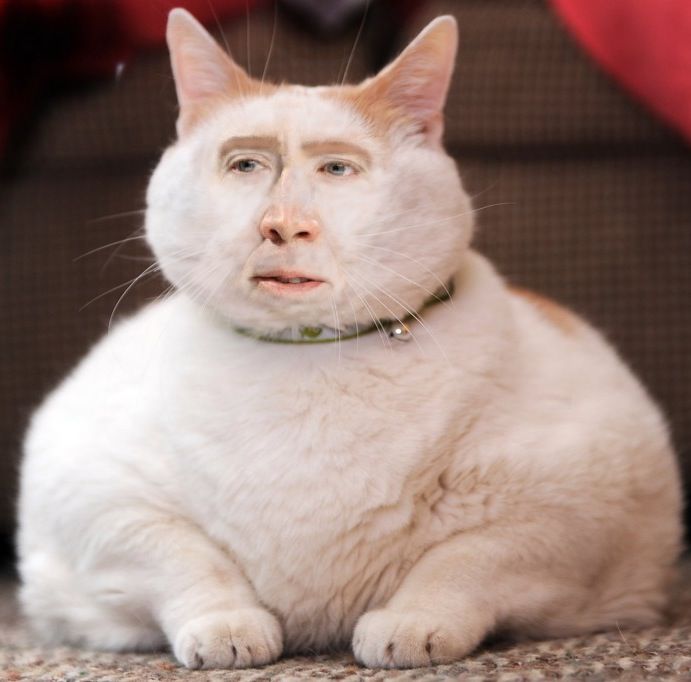 7bae18b6c1d482c5690739b426182b56.jpg
