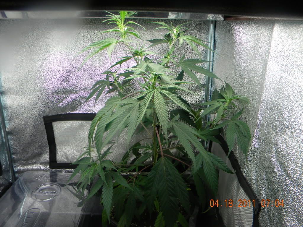 DSCN2275.jpg