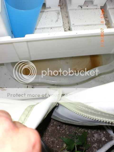 drain.jpg