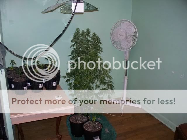 100_1729.jpg