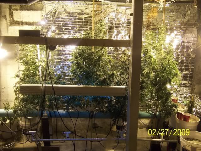 100_1446.jpg