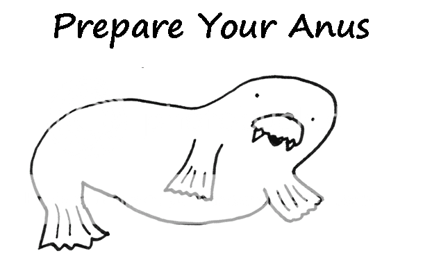 walrus.png