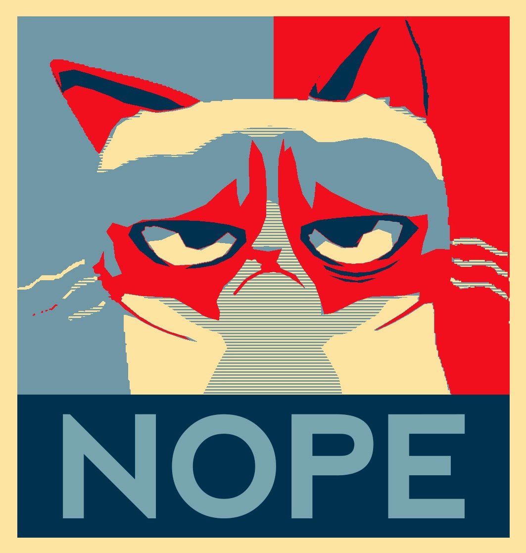 grumpy+cat+nope.jpg