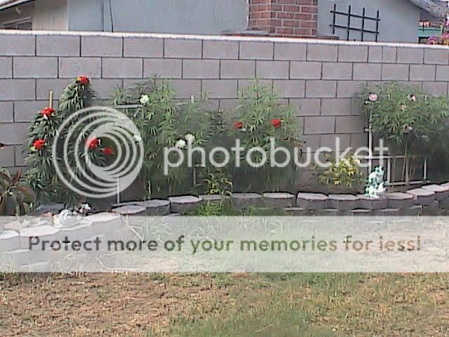 8-29048.jpg