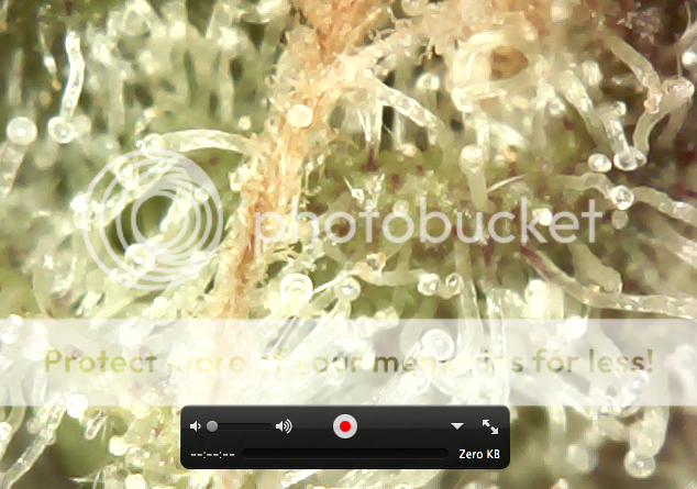 Screenshot2012-03-02at75220PM.png
