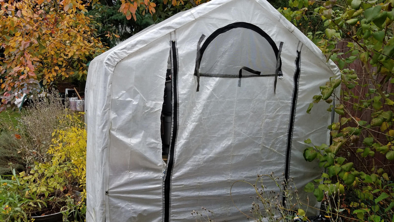 greenhouse1.jpg