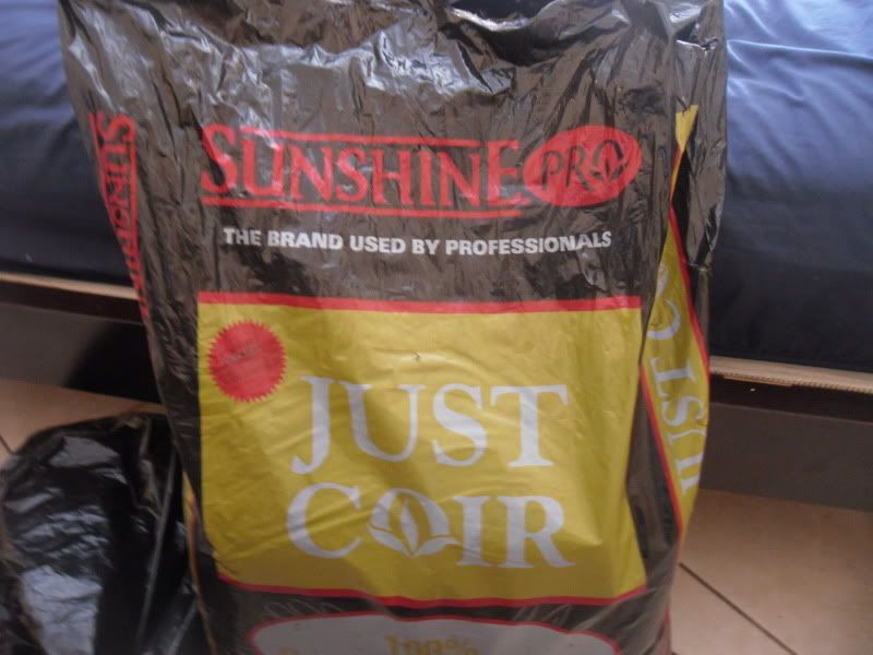 SDC10870.jpg