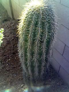 11-05-07_1455.jpg