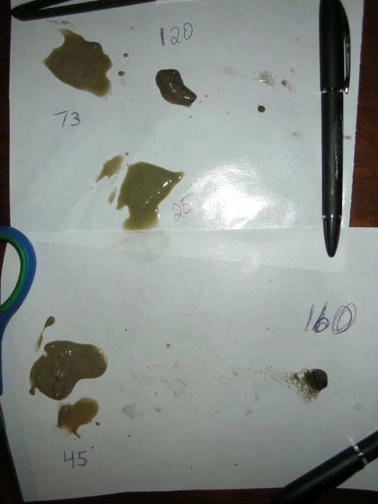 DSCN4062.jpg
