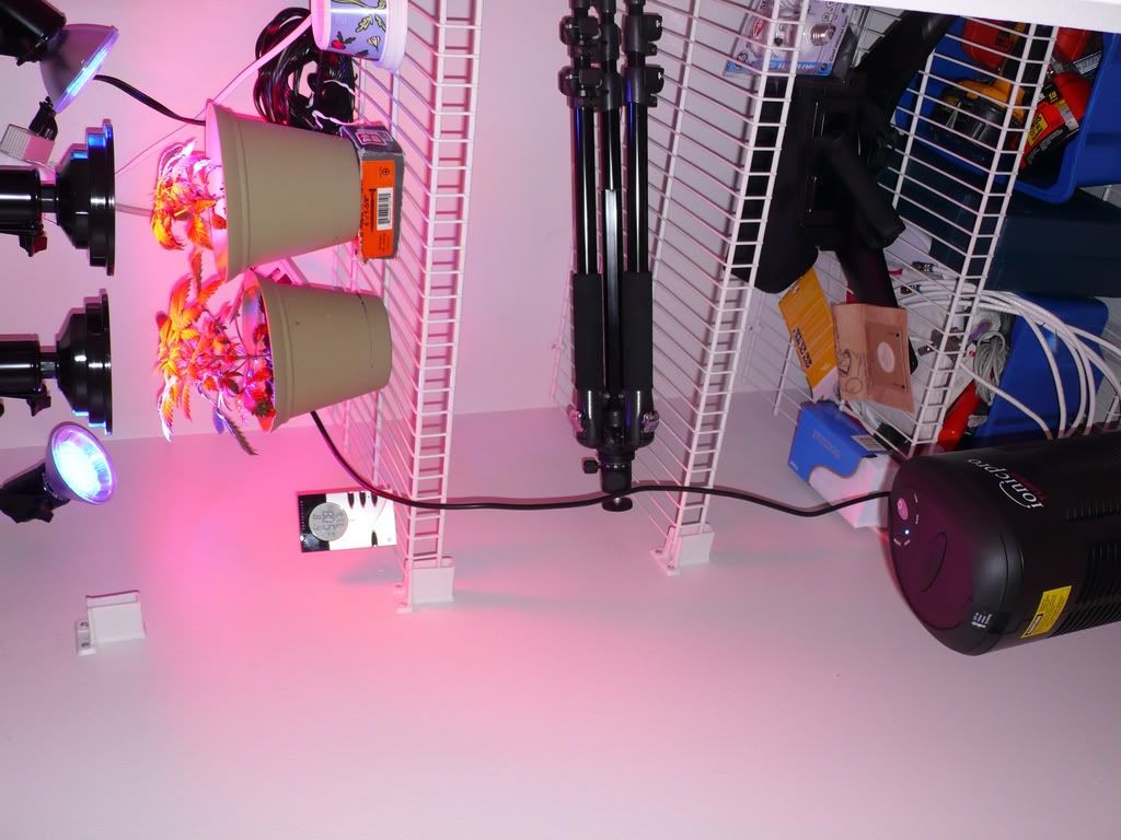 P1010596.jpg
